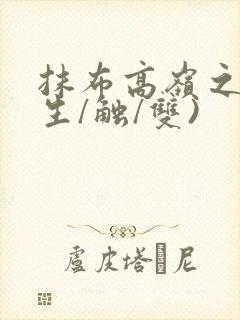 抹布高岭之花(生/触/双)