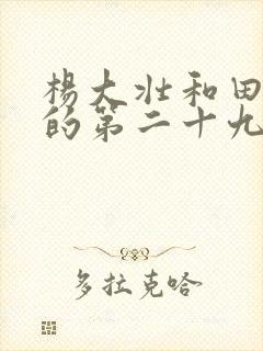 杨大壮和田桂花的第二十九