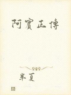 阿宾正传
