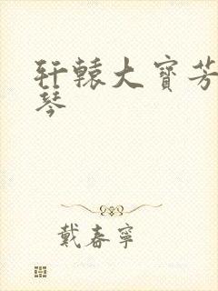 轩辕大宝芳菲雅琴封面