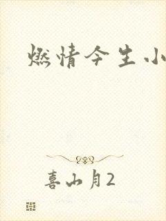 燃情今生小说