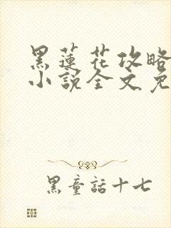 黑莲花攻略手册小说全文免费阅读笔趣阁封面