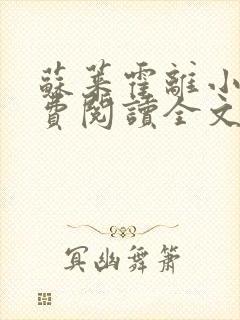 苏莱霍离小说免费阅读全文封面