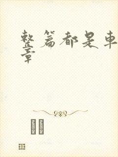 整篇都是车的文章