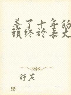养了十年的小丫头终于长大了