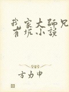 我家大师兄脑子有坑小说封面