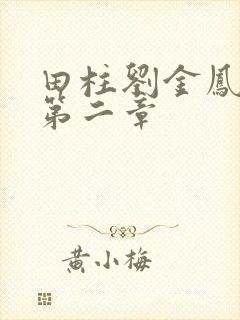 田柱刘金凤小说第二章封面