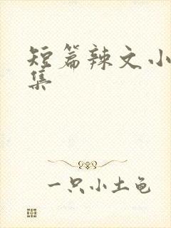 短篇辣文小说合集