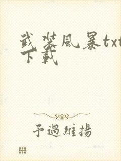 武装风暴txt下载