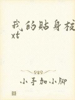 我的贴身校花txt