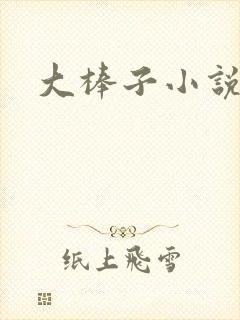 大棒子小说