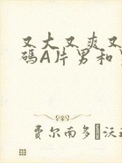 又大又爽又黄无码A片男和男