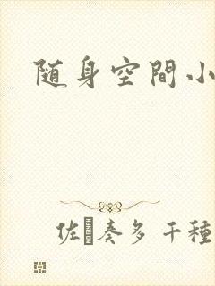 随身空间小说
