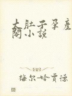 大肚子孕产笔趣阁小说