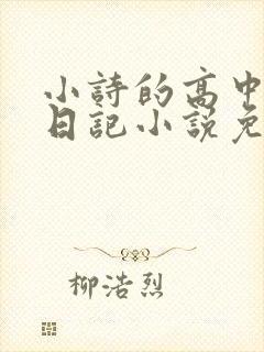 小诗的高中成长日记小说免费阅读