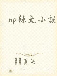 np辣文小说