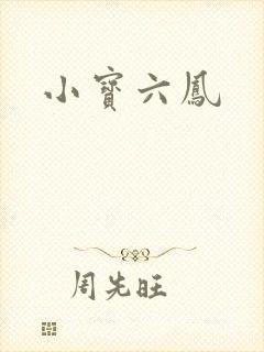 小宝六凤封面