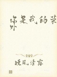 你是我的荣耀番外