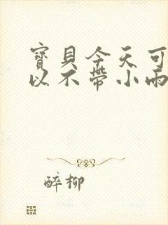宝贝今天可不可以不带小雨伞