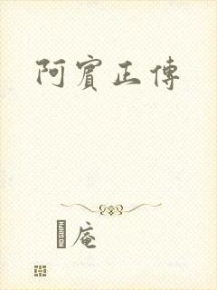 阿宾正传封面