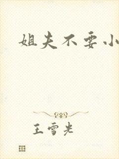 姐夫不要小说