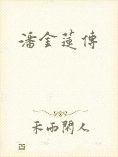 潘金莲传封面