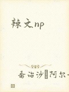 辣文np封面