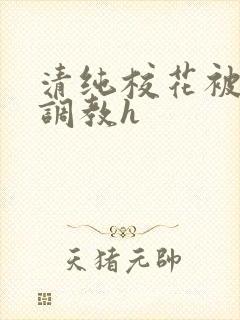 清纯校花被地狱调教h