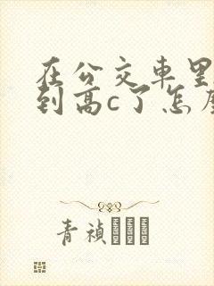 在公交车里c弄到高c了怎么办封面
