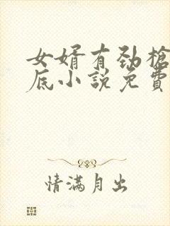 女婿有劲枪枪到底小说免费看封面