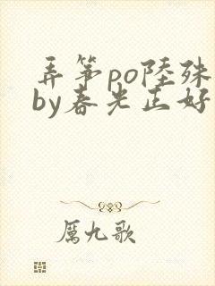 弄筝po陆殊词by春光正好封面