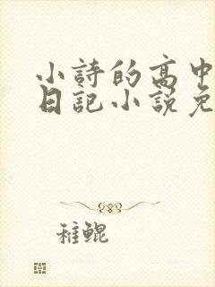 小诗的高中成长日记小说免费阅读