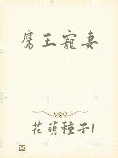 鹰王宠妻