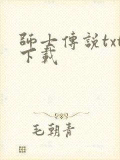 师士传说txt下载
