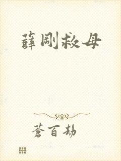 薛刚救母封面