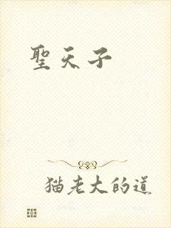 圣天子