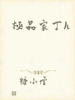 极品家丁h