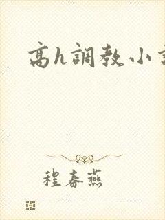 高h调教小说封面