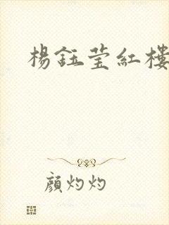 杨钰莹红楼封面