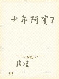 少年阿宾7封面