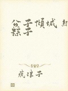 公子倾城 维和粽子