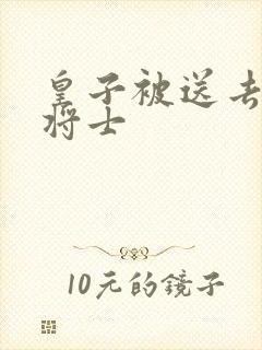 皇子被送去犒劳将士