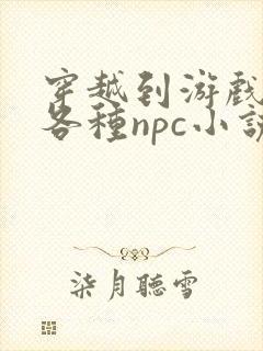 穿越到游戏里和各种npc小说封面