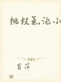 桃枝气泡小说封面