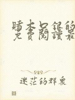 赌木口银的小说免费阅读最新