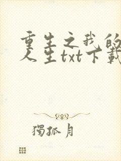 重生之我的书记人生txt下载