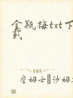 金瓶梅txt下载