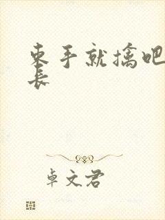束手就擒吧韩队长封面