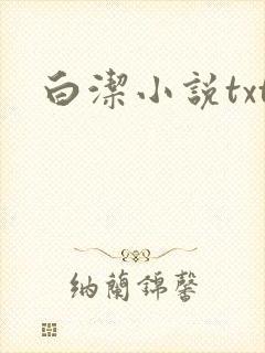 白洁小说txt