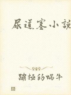 尿道塞小说